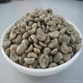 Full washed arabica coffee bean 5
