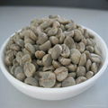 2014 Crop arabica coffee bean 2