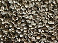 2014 Crop arabica coffee bean 3