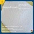 calcium formate 98 4