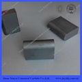 Cemented Carbide Snow Plow Inserts 1