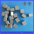 Cemented Carbide Snow Plow Inserts 2