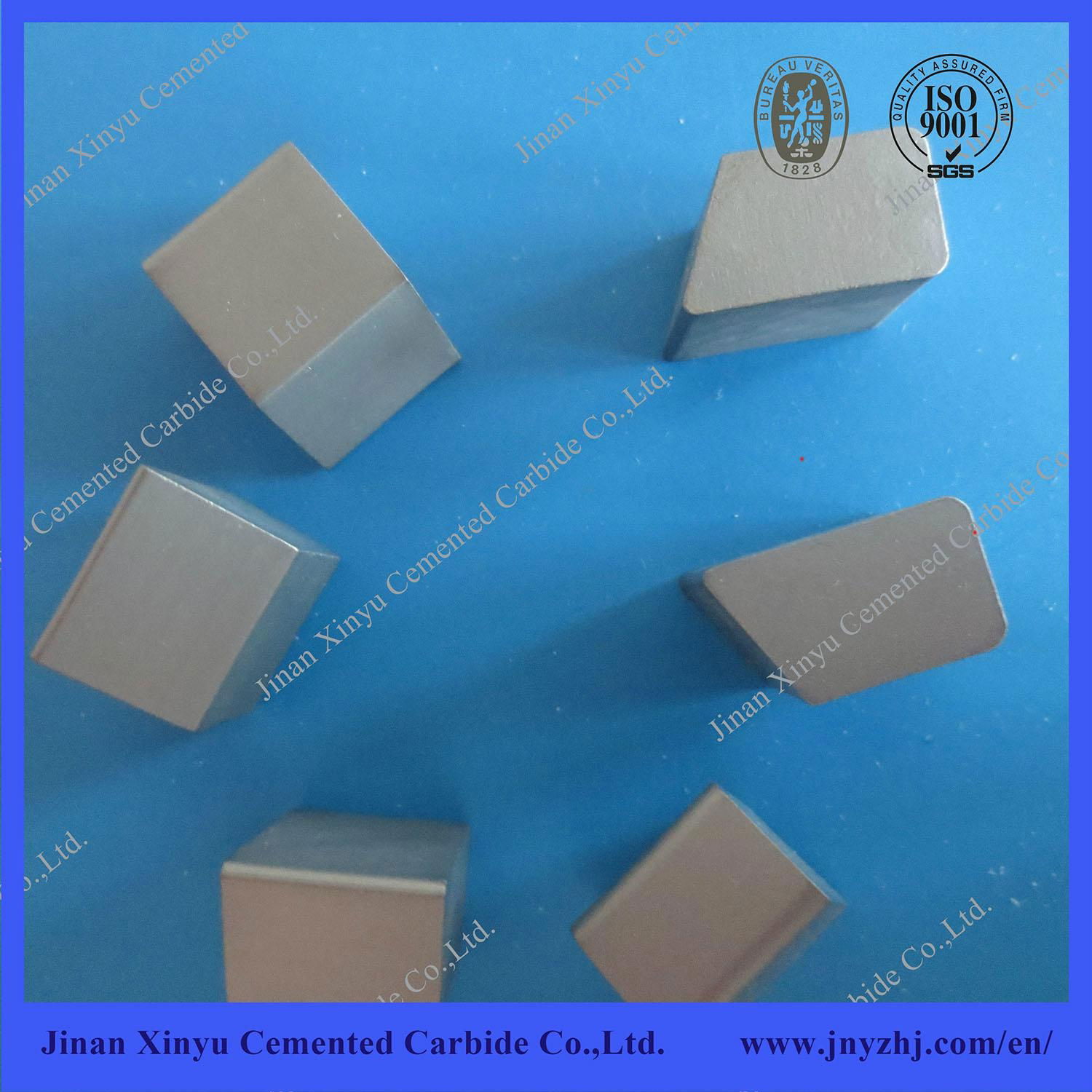 Cemented Carbide Snow Plow Inserts 3
