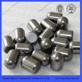 Cemented Carbide Buttons 1