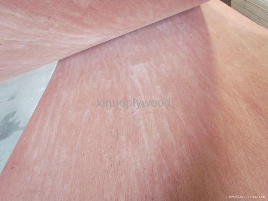 commercial plywood 2