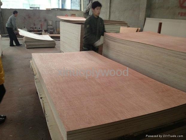 commercial plywood 5