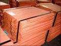 Copper Cathode