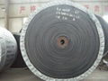 Fire Resistant Conveyor Belt