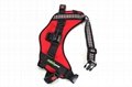 NEOpine Neoprene Harness gopro/xiaomi yi Chest Strap for Dogs NDS-1 2