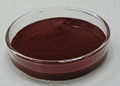 5% Natural Astaxanthin Oleoresin