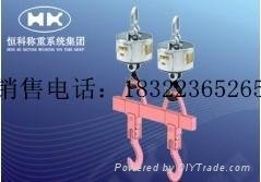 天津OCS-XZ-GGE-pro電子吊鉤秤