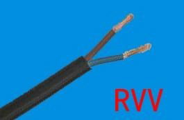 RVV/RVVP 2