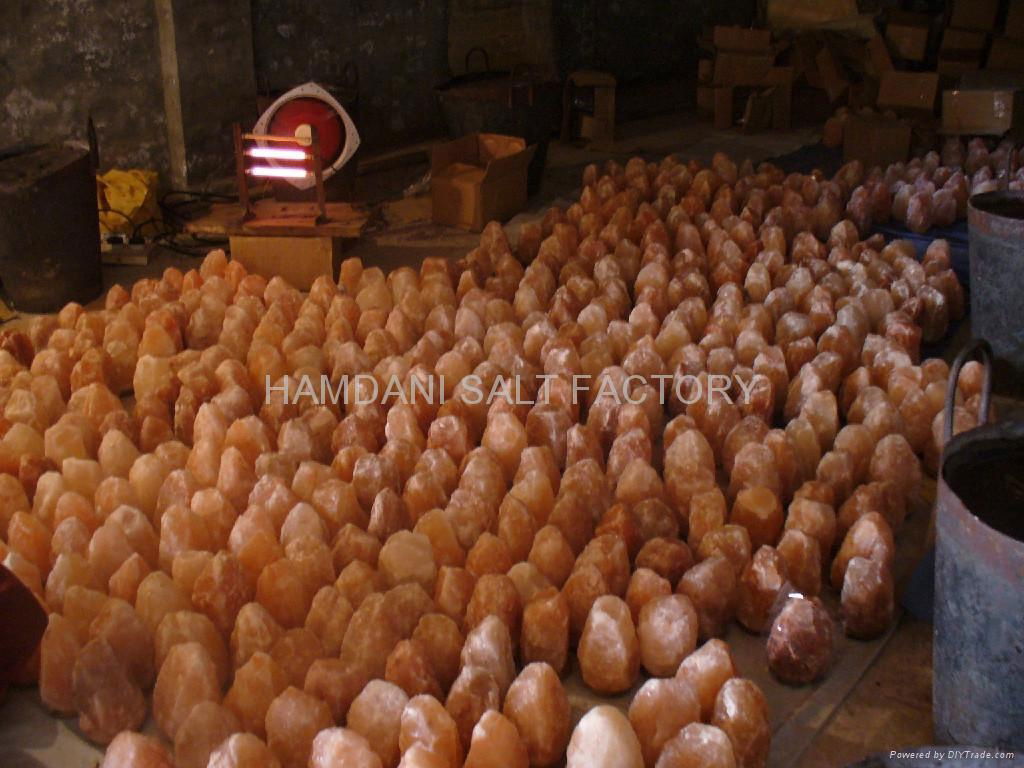 DRIER  ROOM FOR WINTER SEASON 