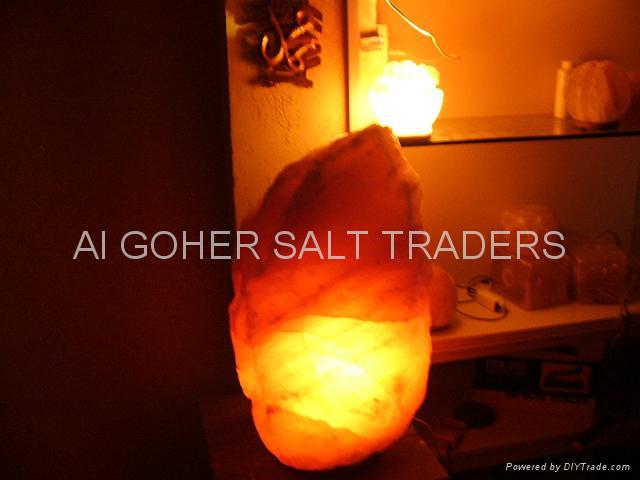 Natural Himalayan Salt Lamp 2