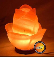 Himalayan Glowing Fancy Salt Lamps