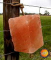 AGT Himalayan Lick Salt 7