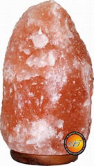 Natural Himalayan Salt Lamp