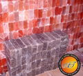  Himalayan Salt Bricks 6