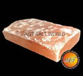  Himalayan Salt Bricks