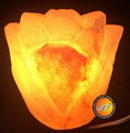 USB Fancy Salt Lamp 18