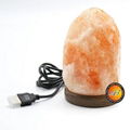 USB Fancy Salt Lamp