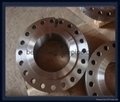ASME B16.5 Stainless Steel Orifice Flanges  3