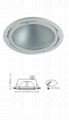 Metail-halide Light-Recessed 1