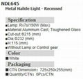 Metail-halide Light-Recessed 2