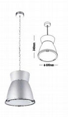 Metail-halide Light-Suspension