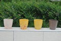 Colorful Eco-friendly Flower Pot 1