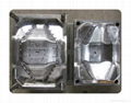 Fruit tray mould 2