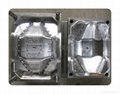 Fruit tray mould