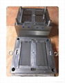 PS Injection  mould 1