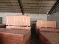 shipping container standard floor plywood 3