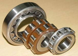 SKF Cylindrical Roller Bearing 30206