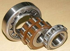 SKF Cylindrical Roller Bearing 30206