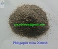 Phlogopite Mica (Gold Mica) 3