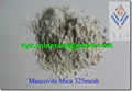 Muscovite Mica   White Mica 1