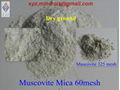 Muscovite Mica