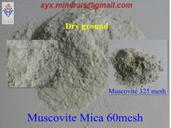 Muscovite Mica