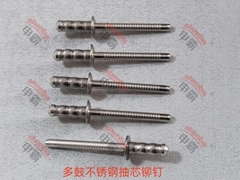鼓型不鏽鋼抽芯鉚釘