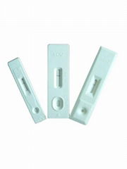 home rapid test pregnancy test cassette