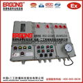 石家莊BXMD52-IIC防爆配電箱