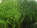 FIFA quality best performance artificial sports turf for soccer field