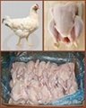 FROZEN CHICKEN WITH SIF CERTIFICATION 5