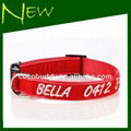 Personalized Velvet Cat Collar Hand Embroidered with your dog's name 4