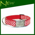 Fashion Chevron Nylon Dog Collar&Lead