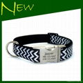 Fashion Chevron Nylon Dog Collar&Lead 2