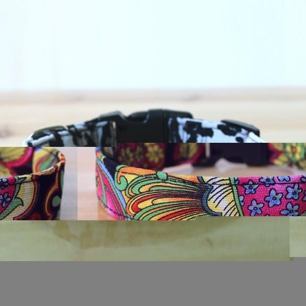 2014 Novelty Colorful Canvas Dog Collar&Lead(100 Colors) 3