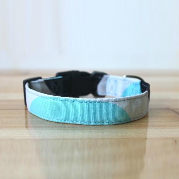 2014 Novelty Colorful Canvas Dog Collar&Lead(100 Colors) 2